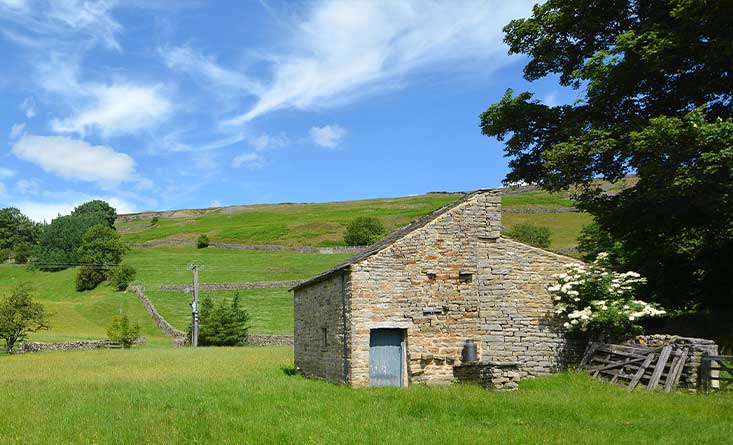 swaledale meadows