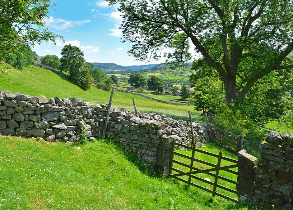 swaledale-views-in-yorkshire